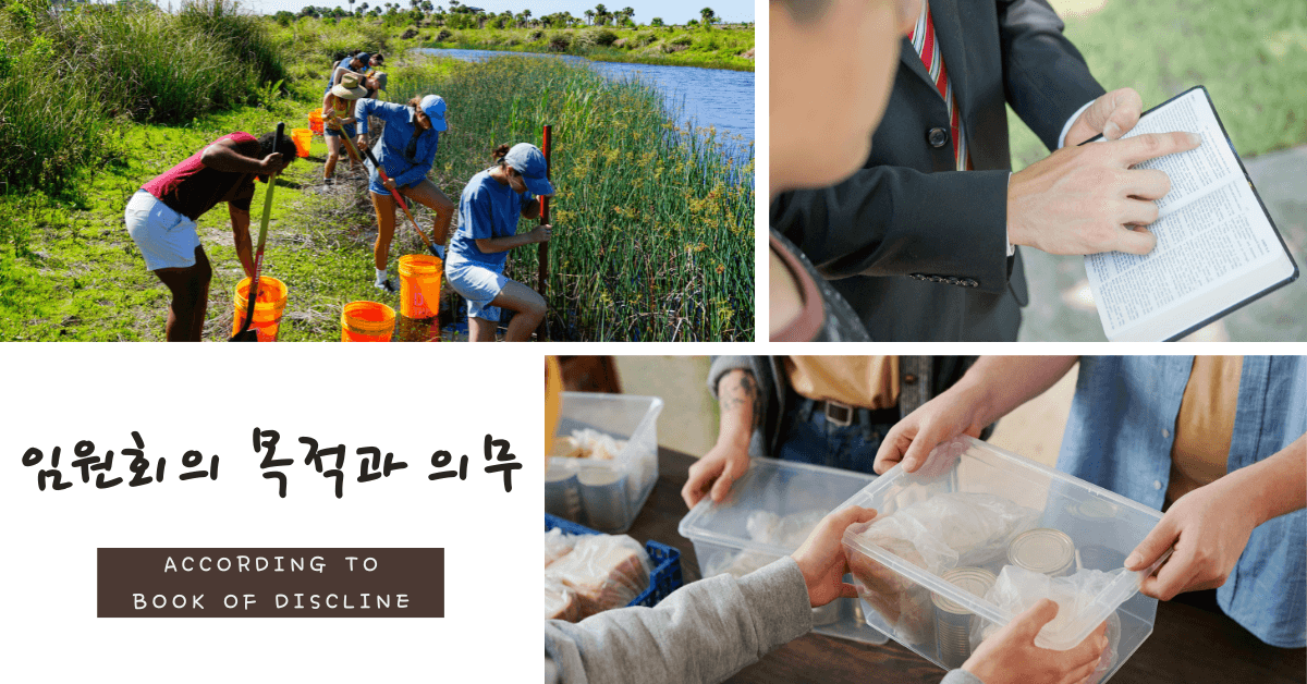 사진: 조 월렌, 조나단 웰스, 언스플레쉬; 줄리아 카메론, 픽셀스.