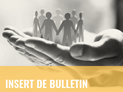 2025_2028_UMSD_Bulletin_Insert_French_tag_grid_image_400x300