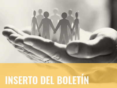 2025_2028_UMSD_Bulletin_Insert_Spanish_tag_grid_image_400x300