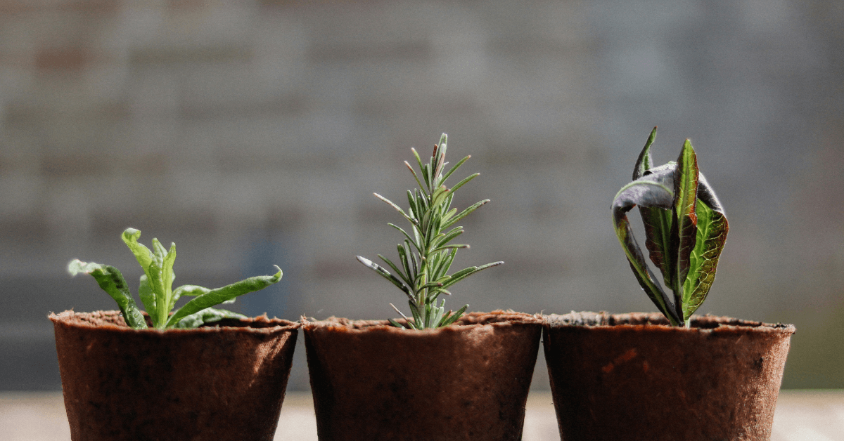 사진: 크리스틴, 언스플레쉬