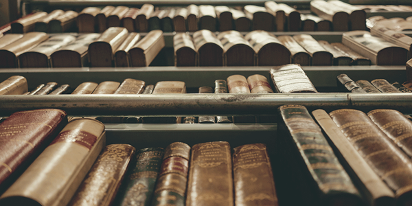 Photo credit: FreePik