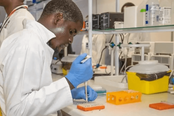 A student at work in Africa University's medical lab. (Photo: Courtesy of Africa University)