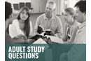 2025_2028_WCS_Adult_Questions_400x300