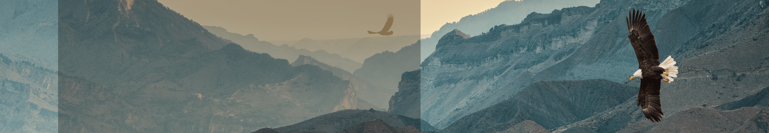 NAMS_hero_image_2940x509