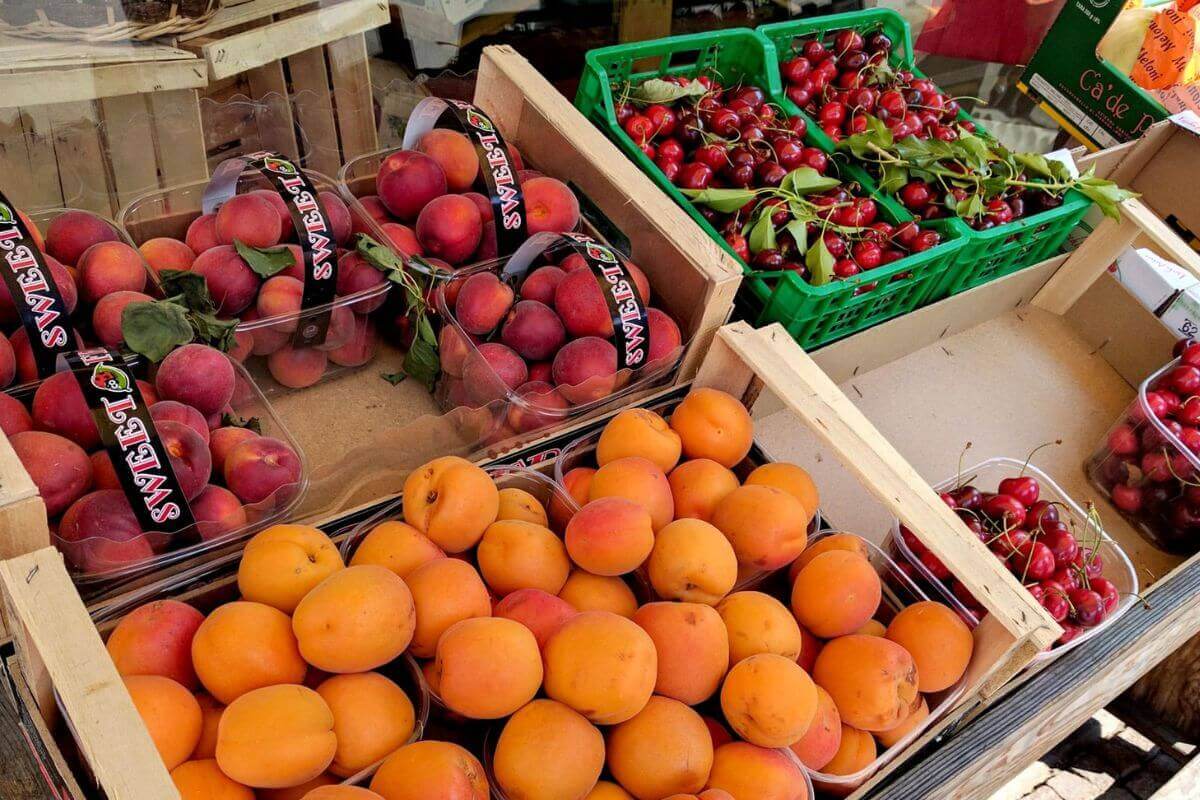 Photo courtesy of Morgan Beaudoin. 