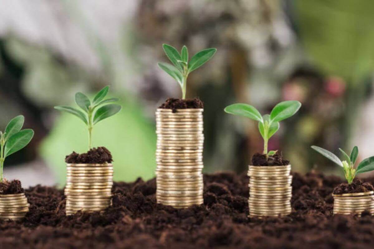 Financial Well-Being as Faithful Stewardship: Why Clergy Need Saving Grace