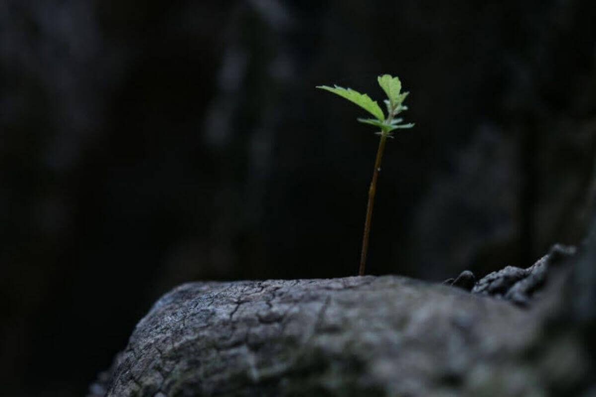 Photo by Nagara Oyodo