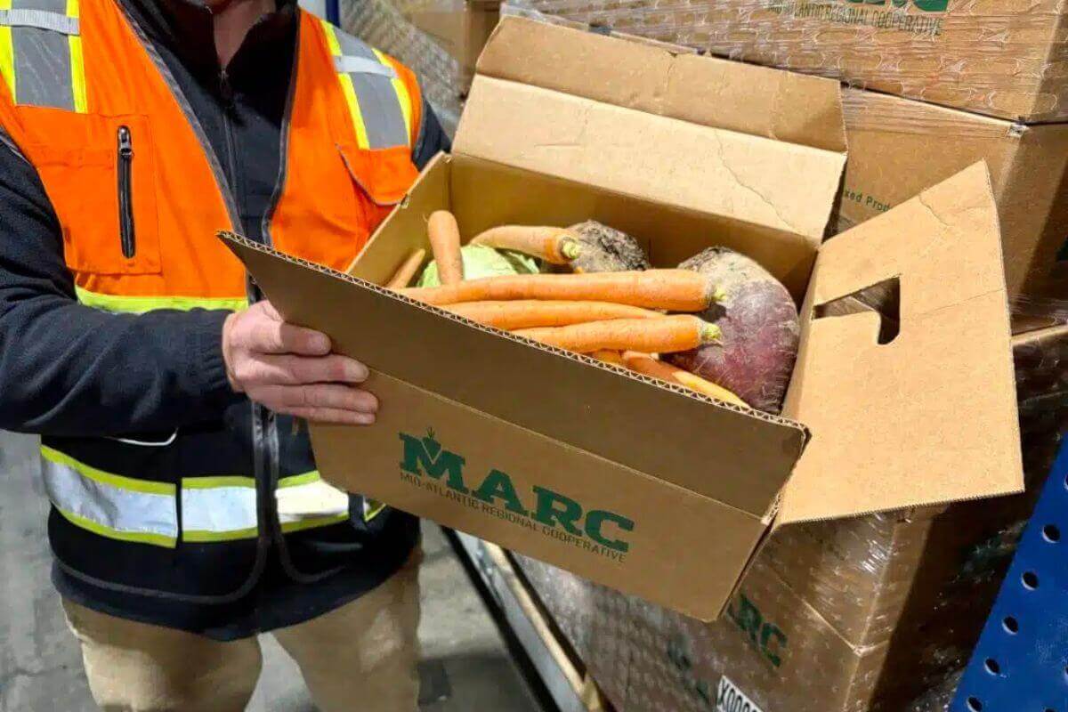 The MARC absorbs surplus food and repackages the large quantities into more accessible and manageable forms for food banks, including this mixed produce box. Photo: Sara Logeman